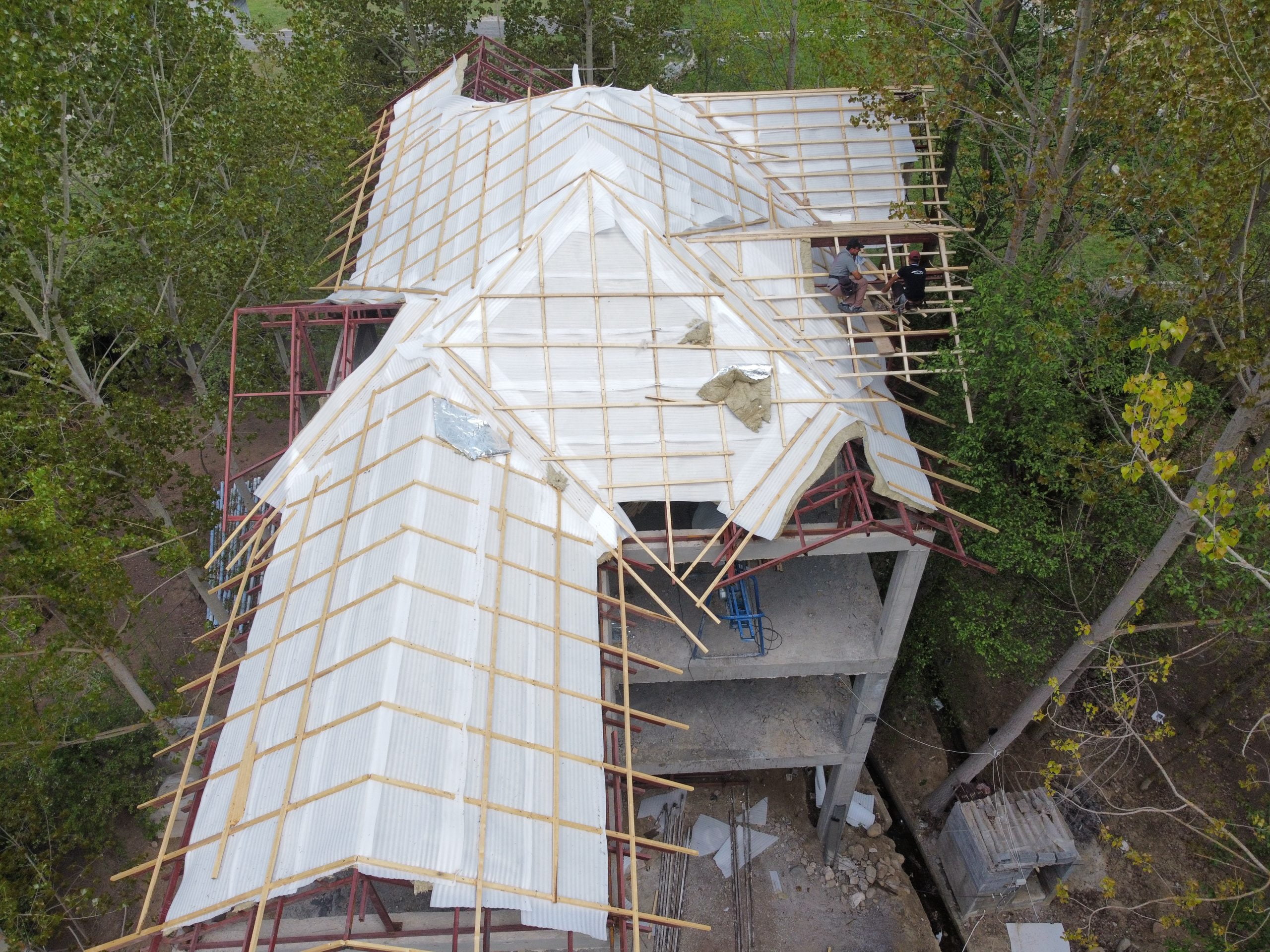 BROF8537 BROF8537 scaled