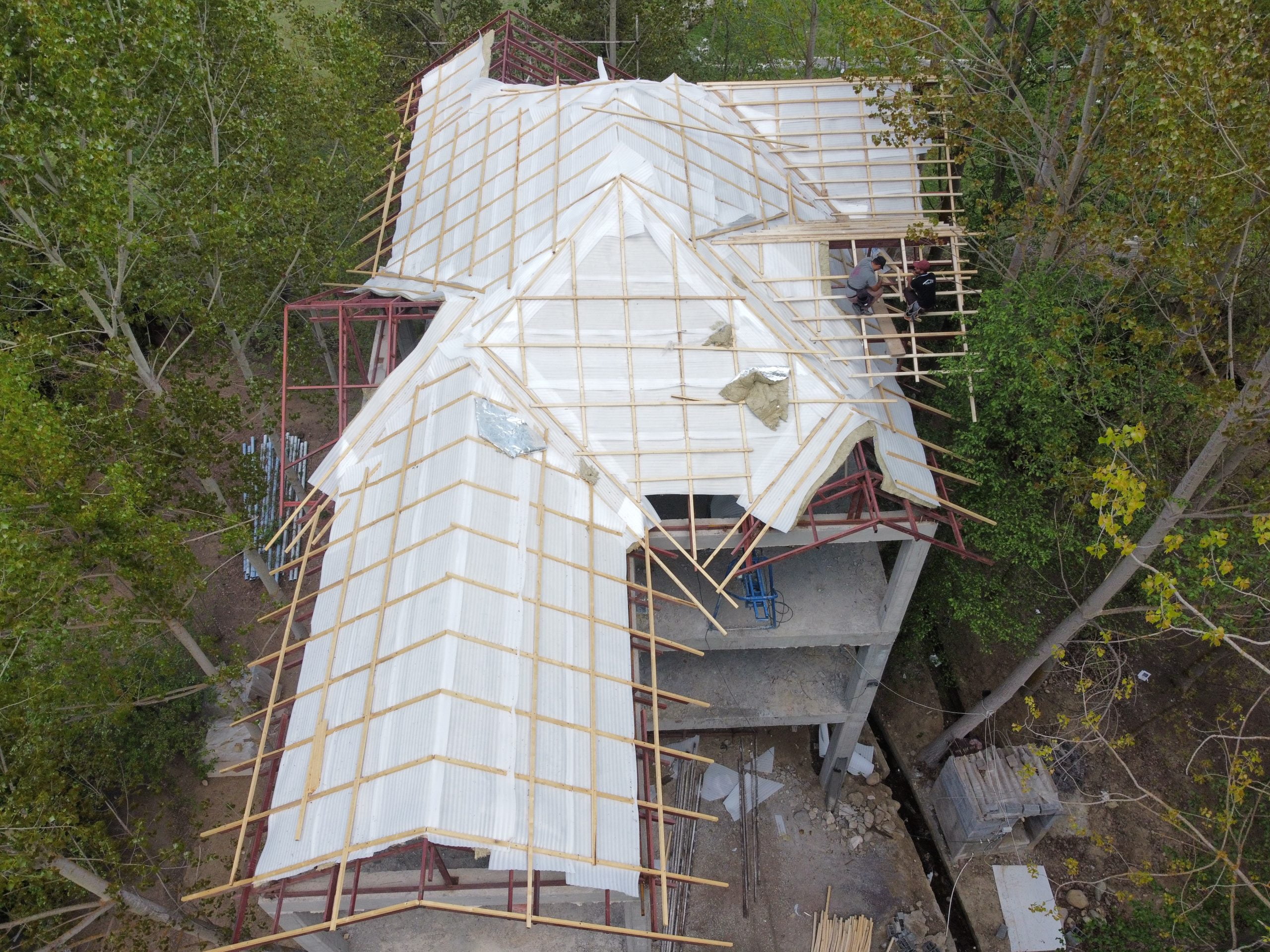 IBOG9143 IBOG9143 scaled