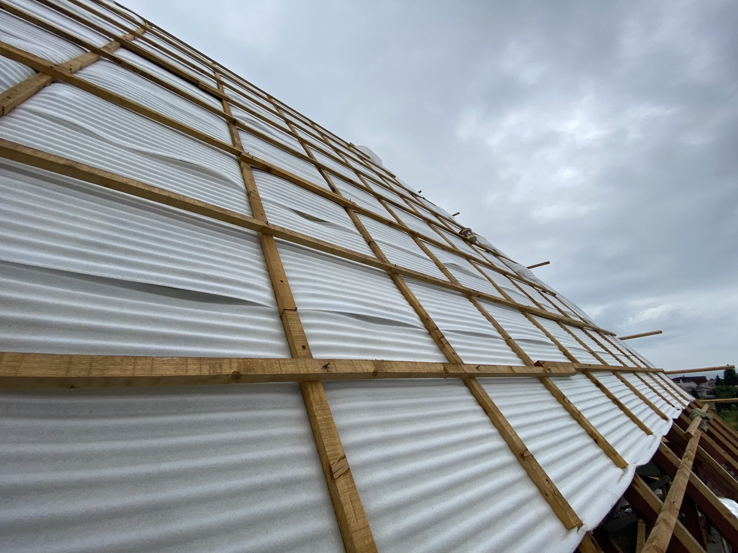 IMG_0091 IMG 0091 scaled