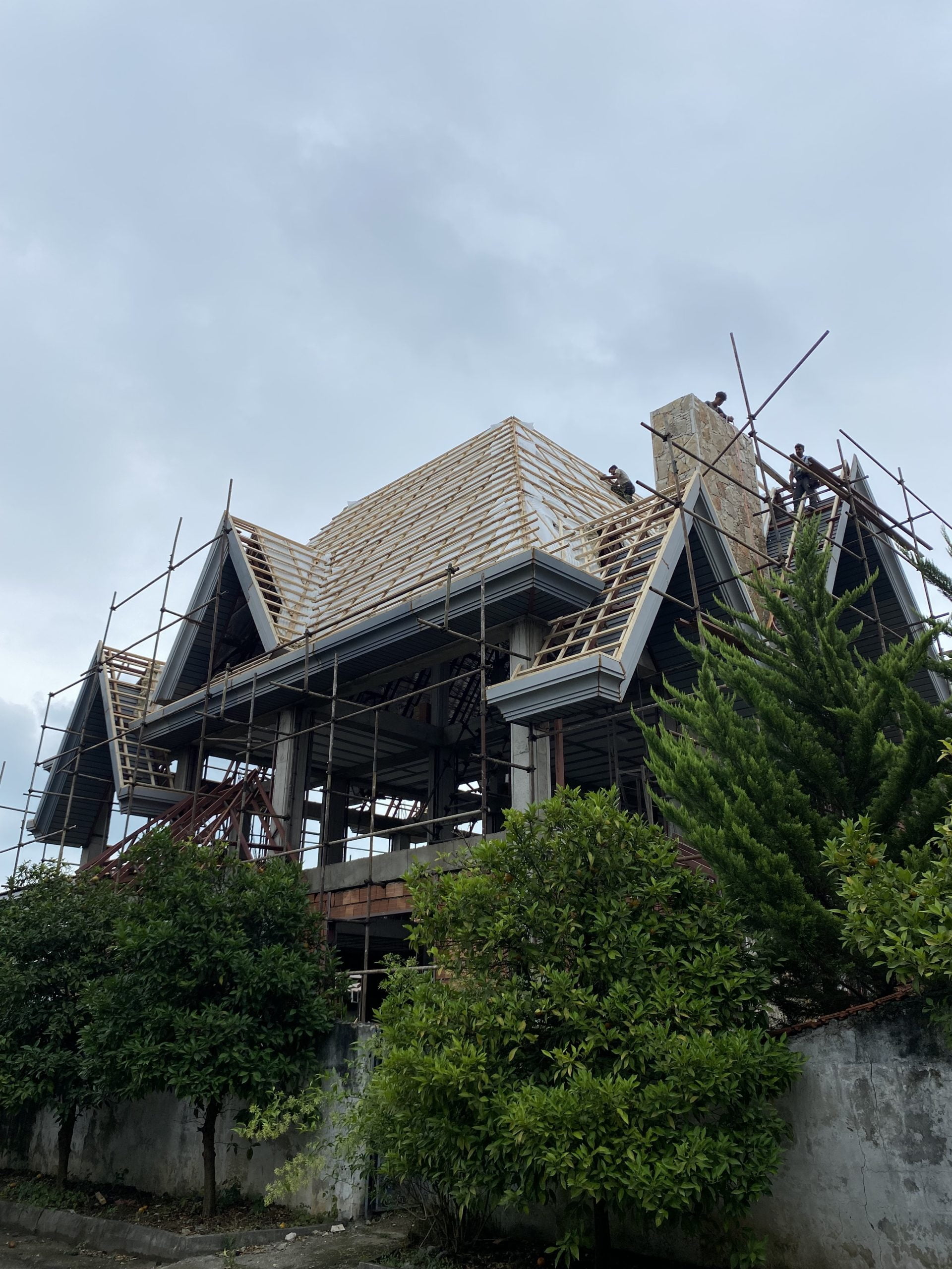 نما و فلاشینگ پیشانی دامپا