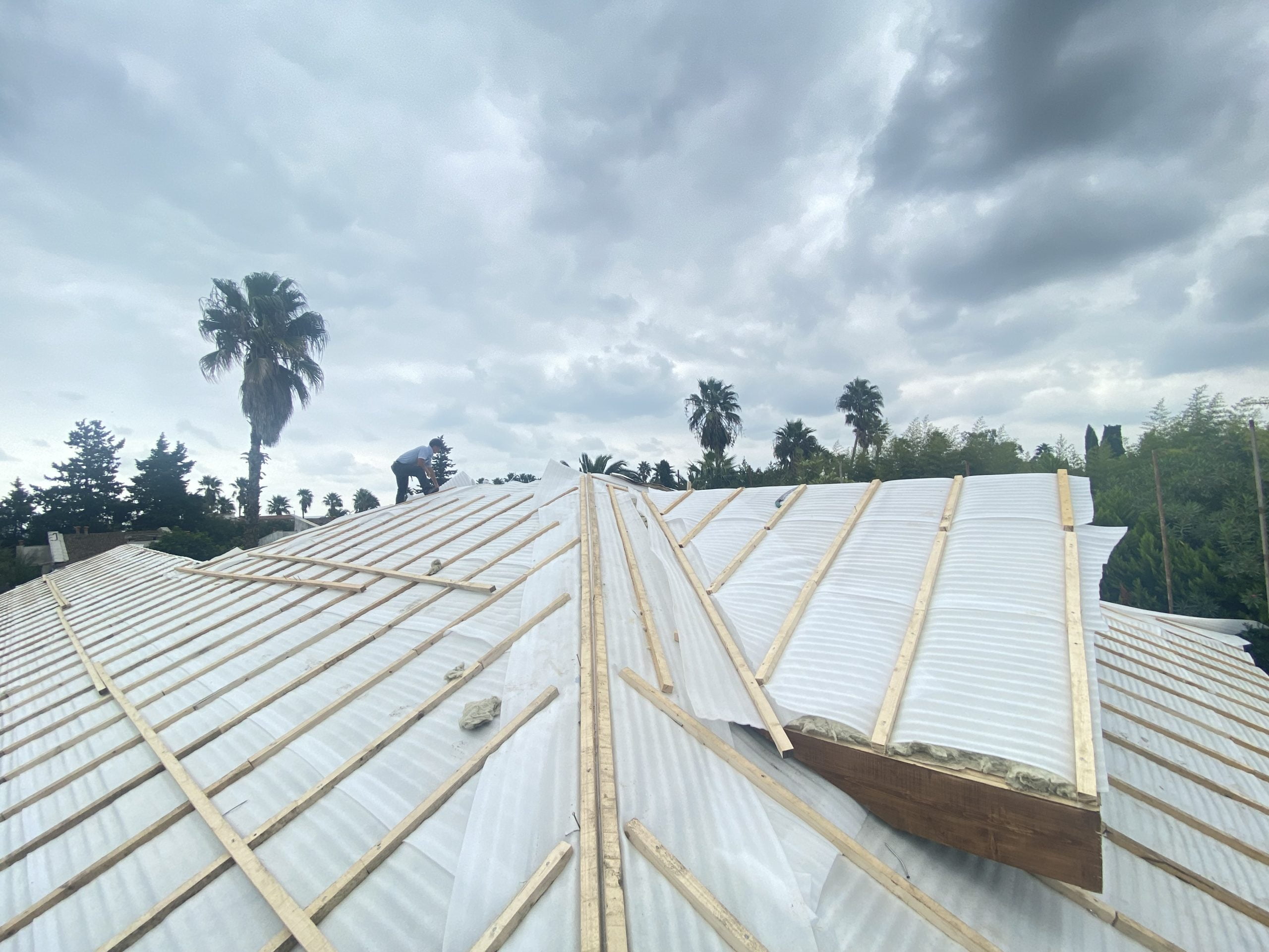 IMG_1583 IMG 1583 scaled