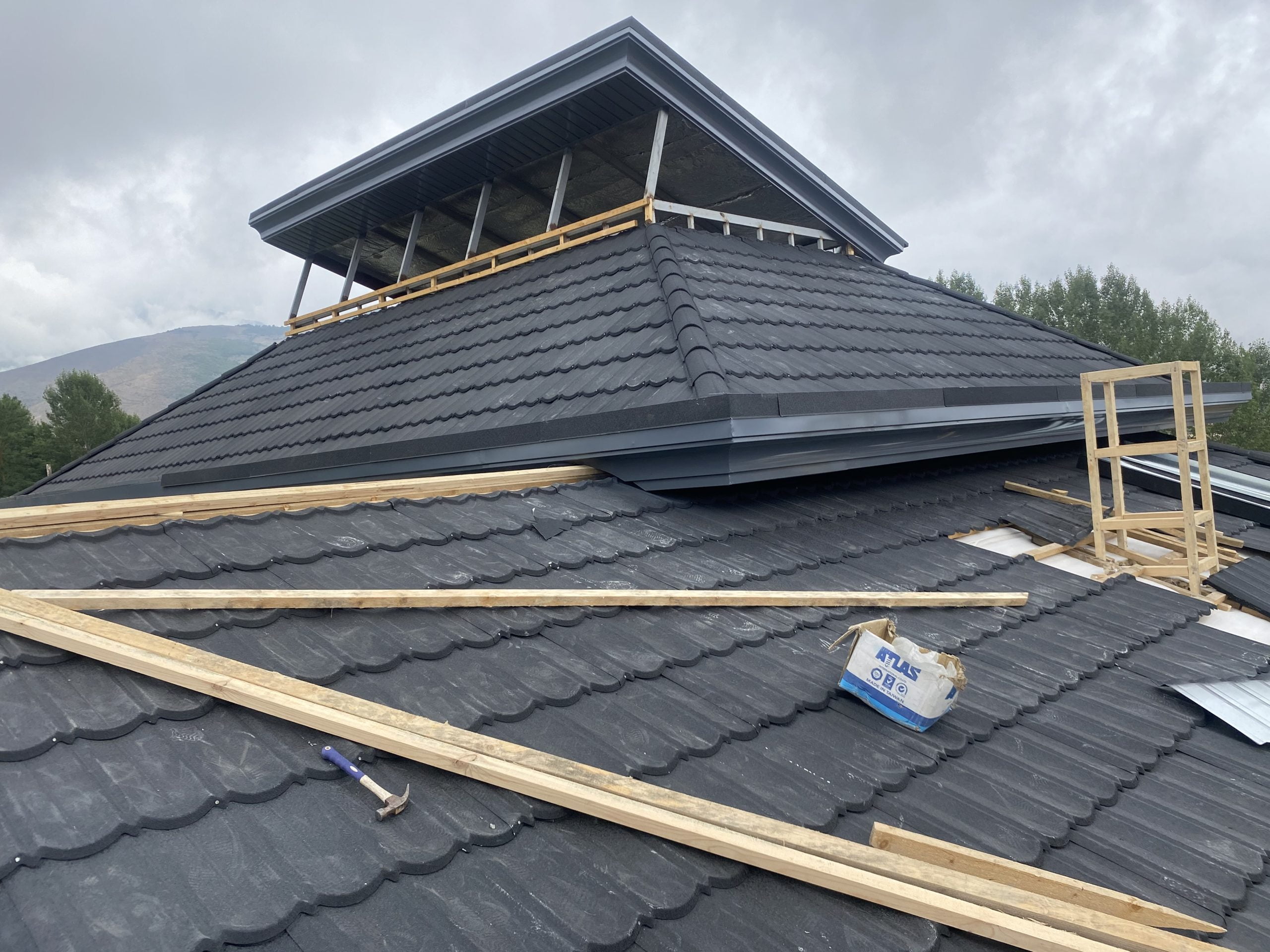 IMG_2184 IMG 2184 scaled