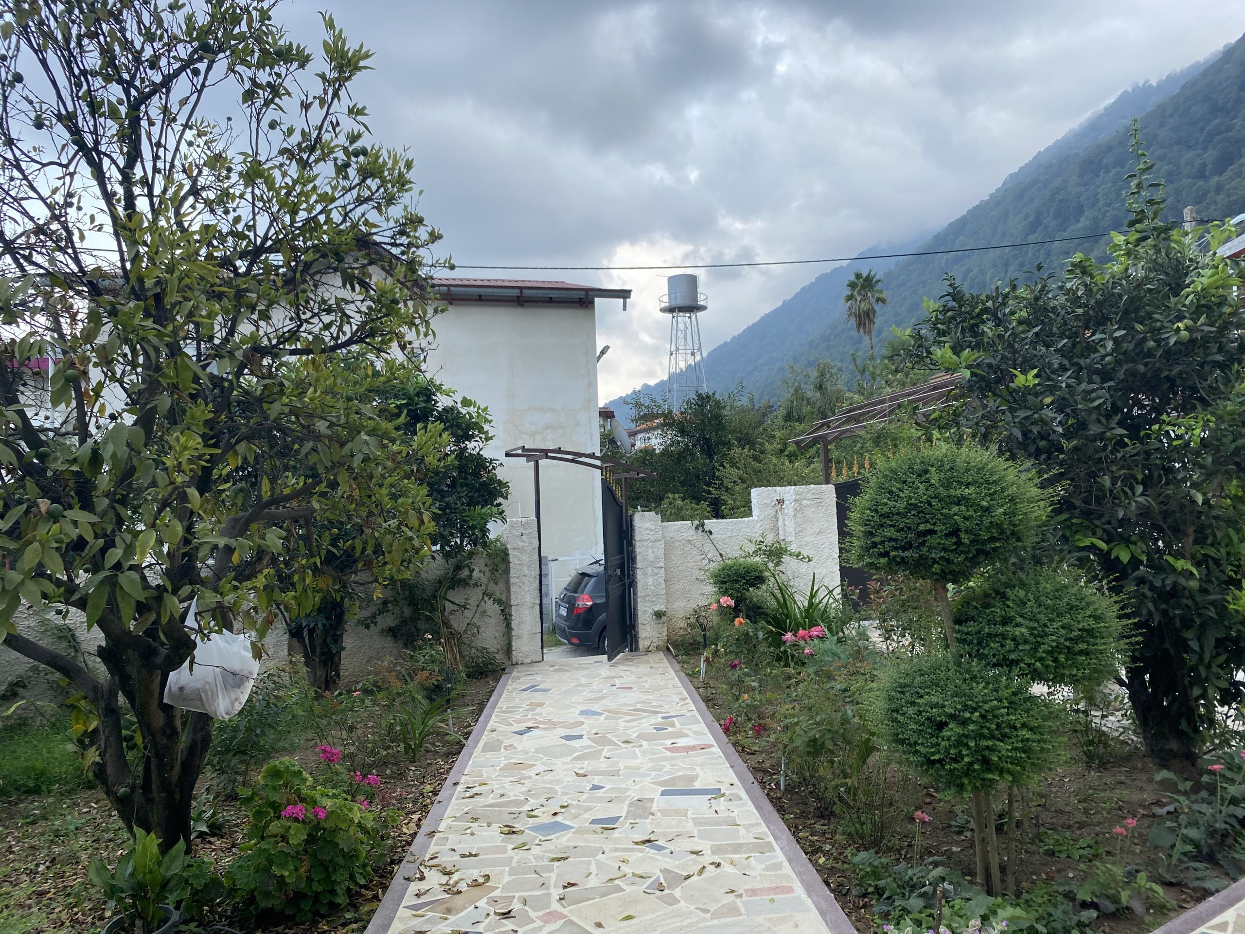 IMG_3489 IMG 3489 scaled