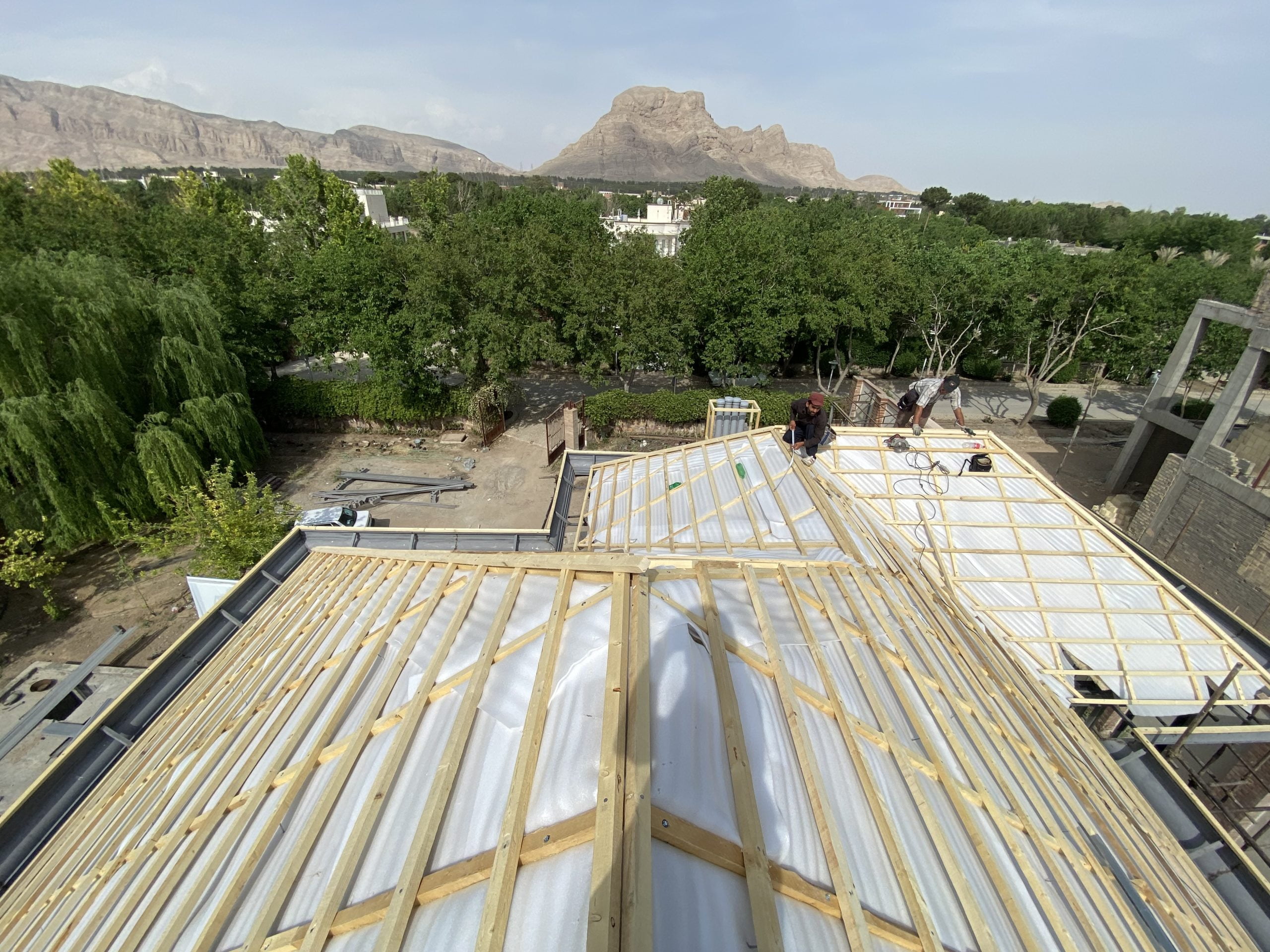 IMG_8021 IMG 8021 scaled