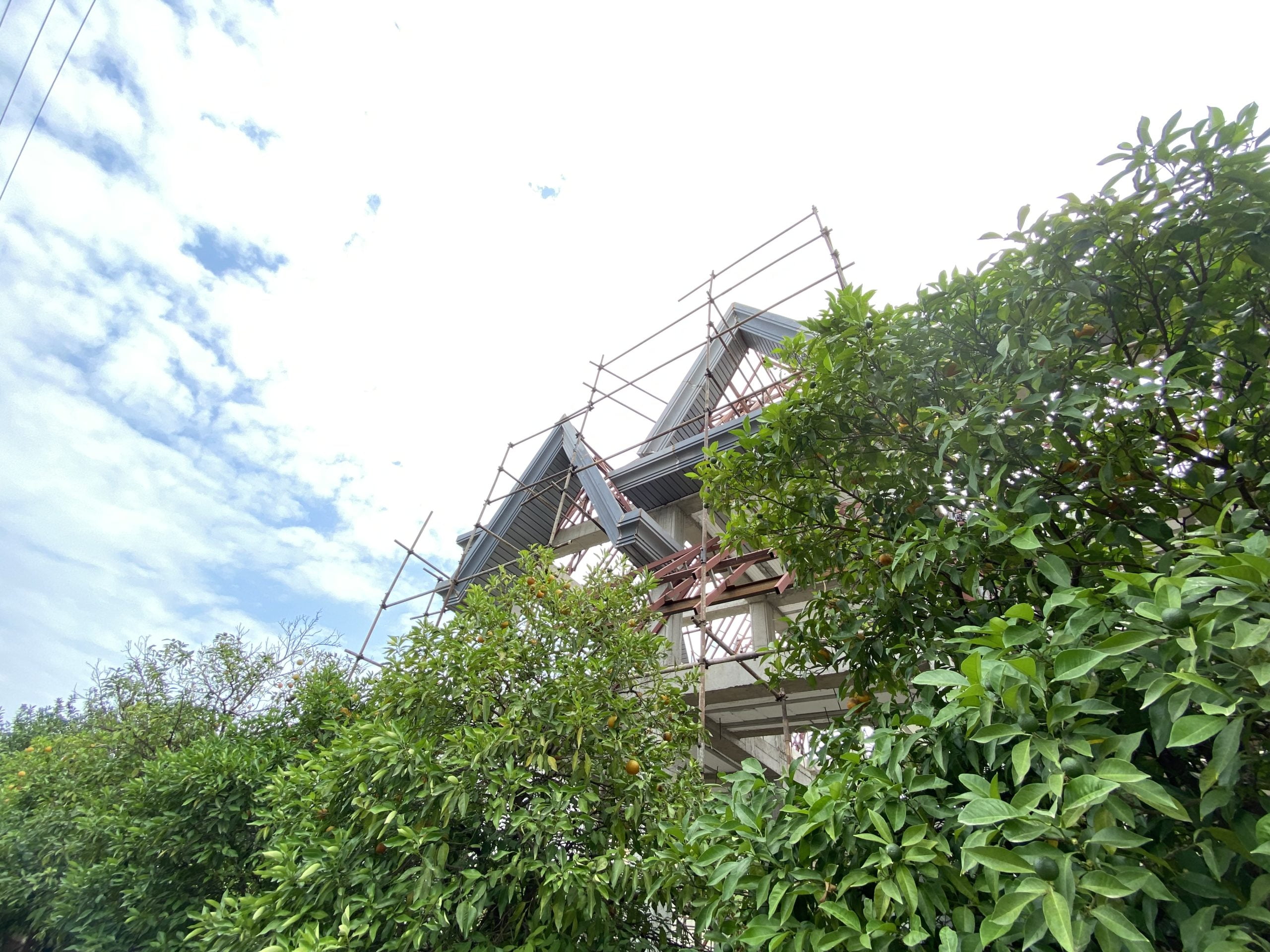 IMG_9880 IMG 9880 scaled