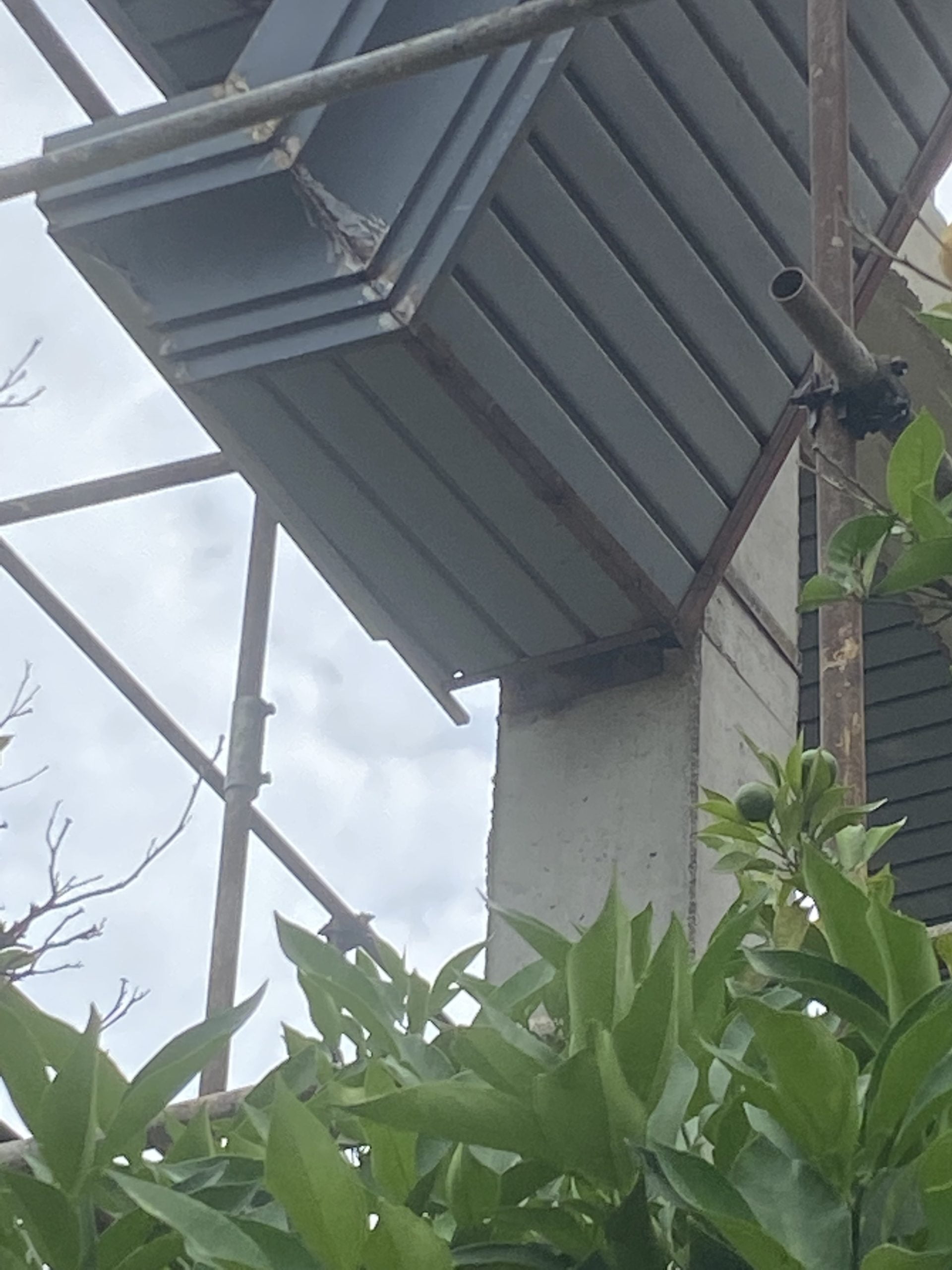 IMG_9882 IMG 9882 scaled