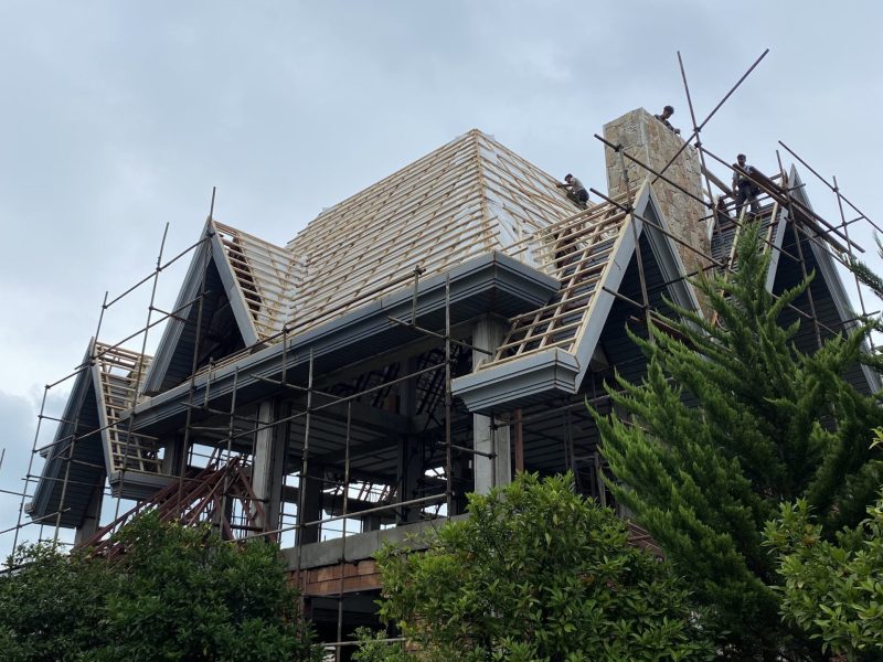 پیشانی دامپا