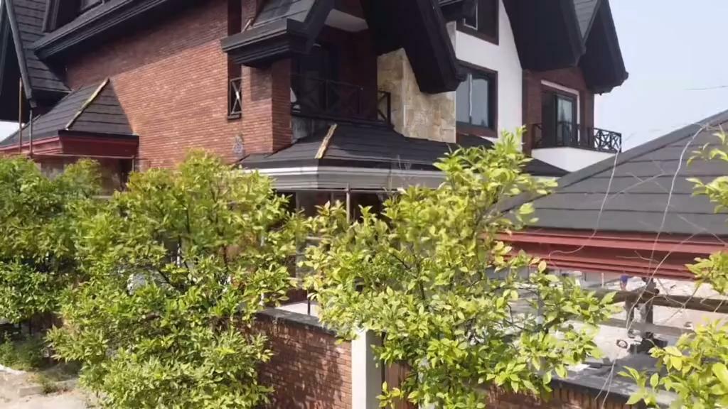 bambo-company_471.jpeg bambo company 471